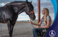 برنامه درمانی  اسب سواری تورنتو  افراد معلول و اسبها را به هم نزدیک تر می‌کند
