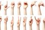زبان اشاره آمریکایی علمی و زبان اشاره آمریکایی خیابانی