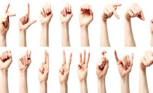 زبان اشاره آمریکایی علمی و زبان اشاره آمریکایی خیابانی