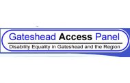 Gateshead Access Panel